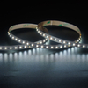 2216 240leds/m CCT 24V 8MM