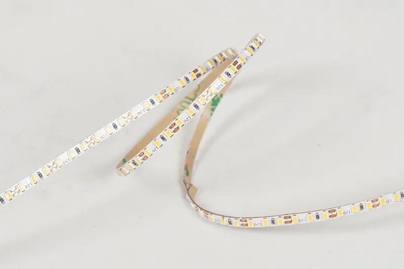 2216 240leds/m 12V 3MM