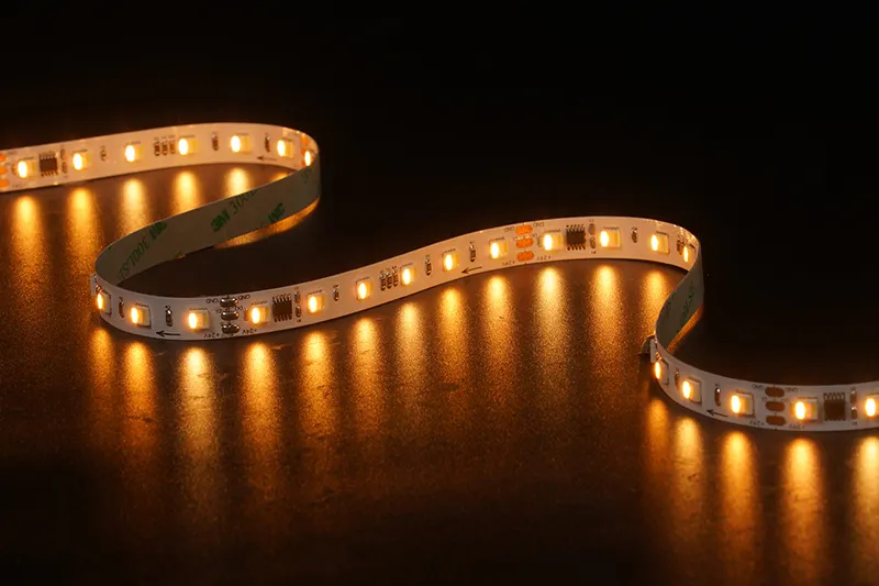 5050 5in1 60leds/m RGBCCT 1906 24V 12MM