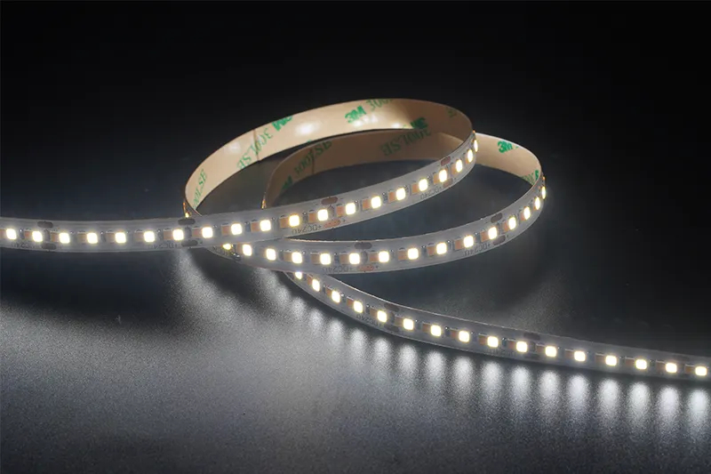 2835 240leds/m CCT 24V 10MM