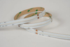 COB 560leds/m RGBW 24V 12MM CRI≥90
