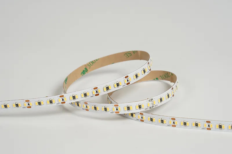 3014 240leds/m 24V 8MM