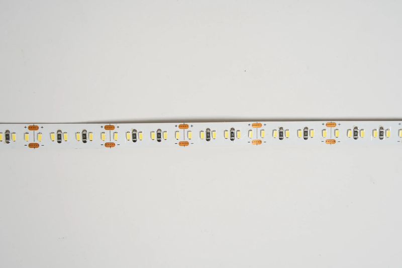 3014 204leds/m 24V 10MM