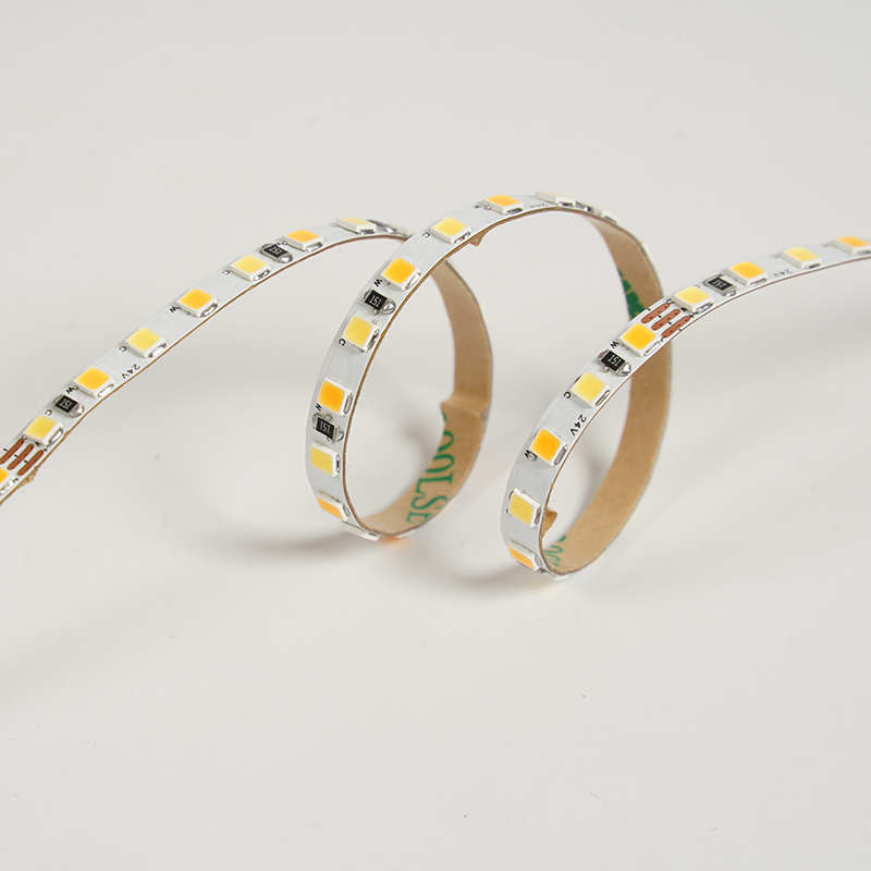 2835 144leds/m CCT 24V 5MM