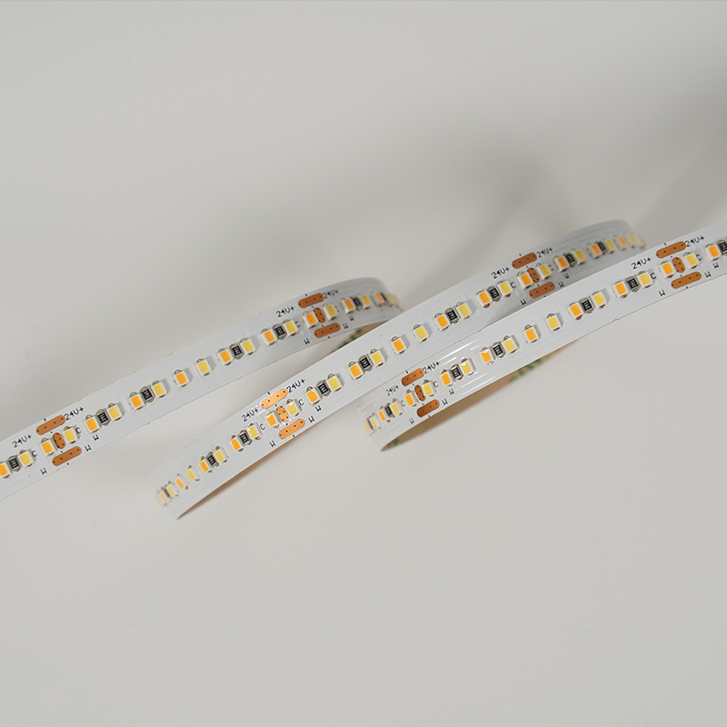LM2216-WN264-CCT-8MM-24V