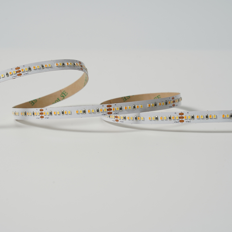 2216 240leds/m CCT 24V 8MM