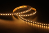 2835 120leds/m CCT 24V 10MM