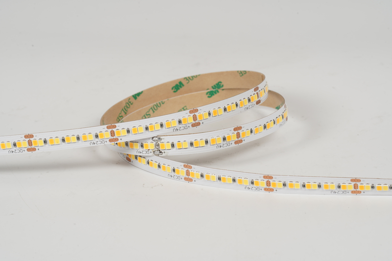 2835 120leds/m CCT 24V 10MM