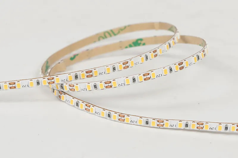 2216 240leds/m 12V 3MM