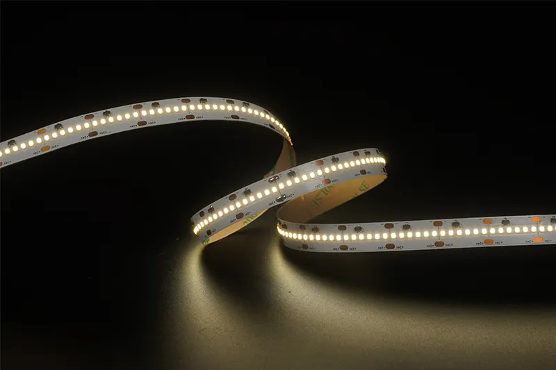 2216 300leds/m 24V 12MM Constant Current
