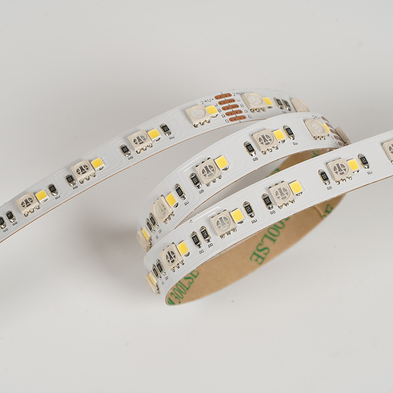 5050+2835 120leds/m RGB+W 24V 12MM