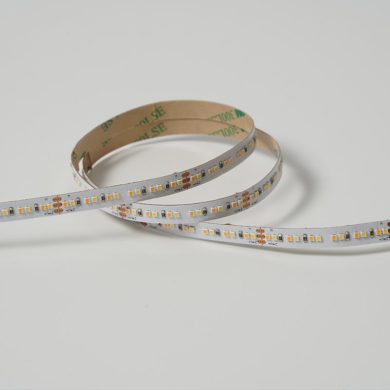 2216 240leds/m CCT 24V 8MM