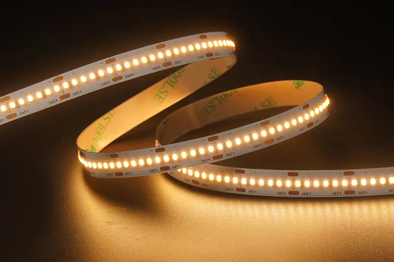2216 300leds/m 24V 10MM
