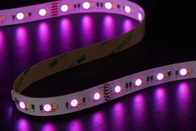 5050+2835 120leds/m RGB+W 24V 12MM