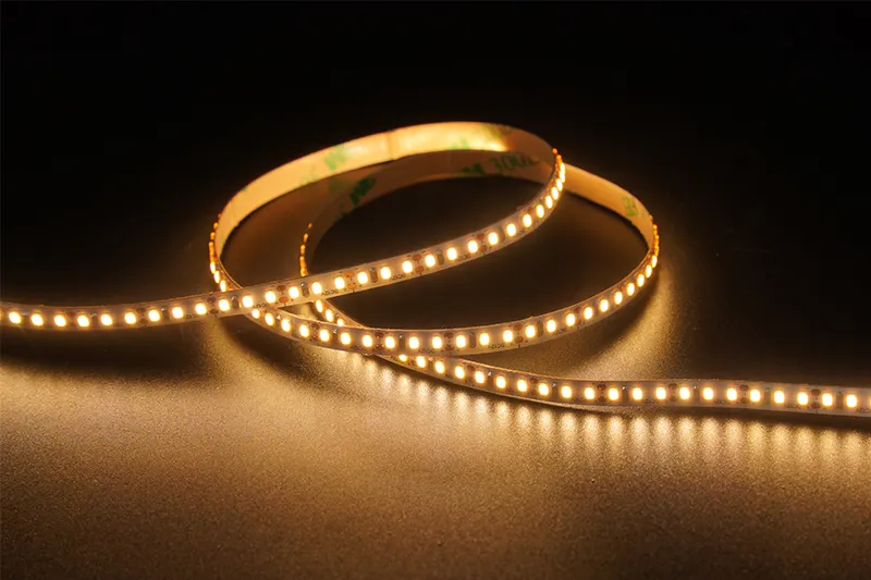 2216 240leds/m 12V 5MM