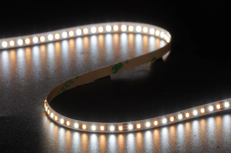 2216 240leds/m CCT 24V 5MM