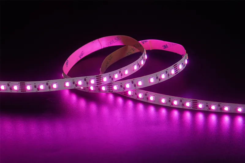 4040 4in1 96leds/m RGBW 24V 10MM