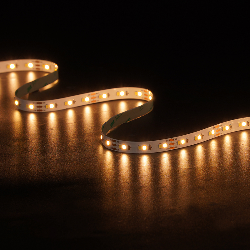 2835 120leds/m CCT 12V 10MM