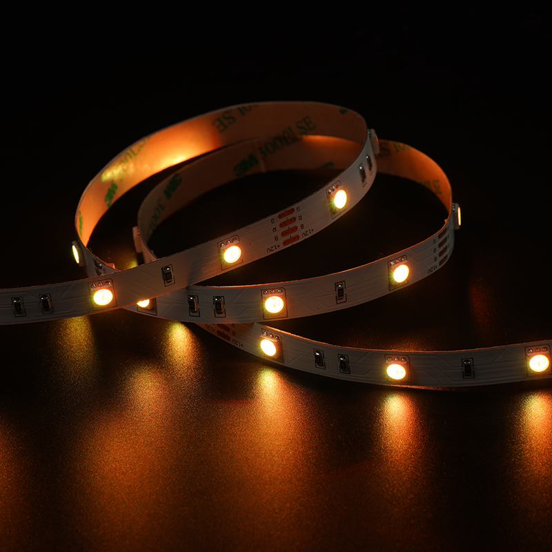 5050 30leds/m RGB 12V 10MM