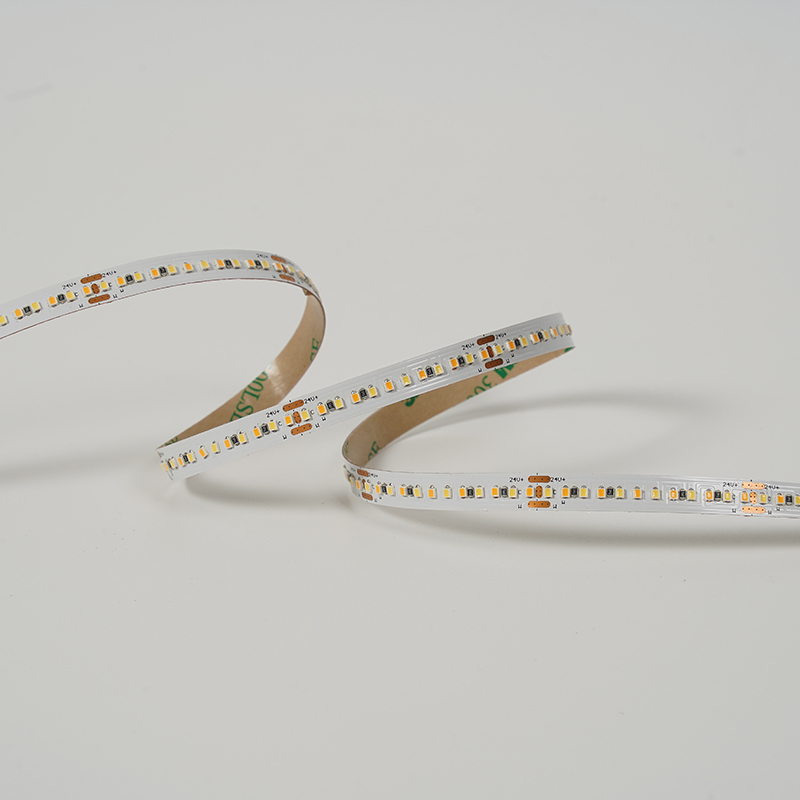 LM2216-WN264-CCT-8MM-24V