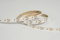 2216 240leds/m 24V 8MM