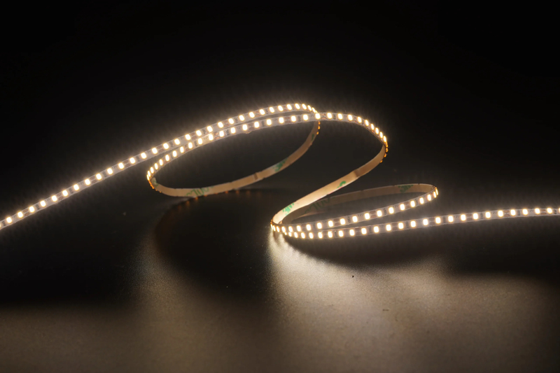 2216 240leds/m 12V 3MM