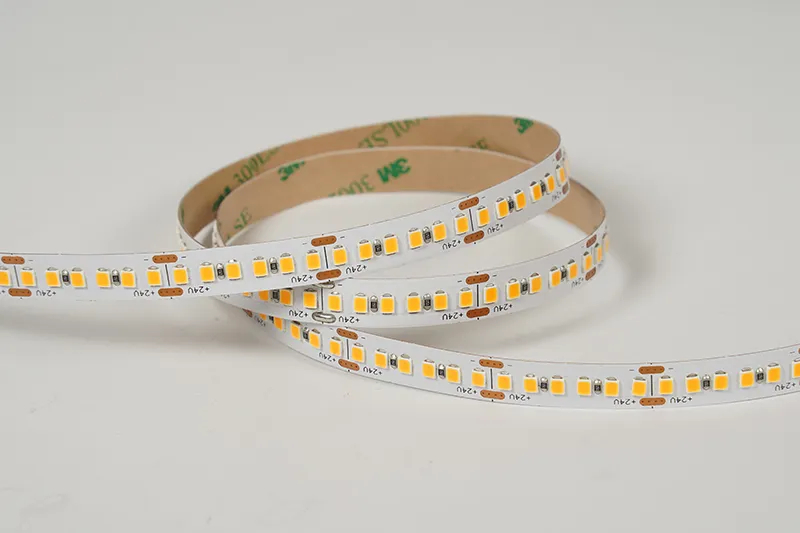 2835 192leds/m 24V 10MM