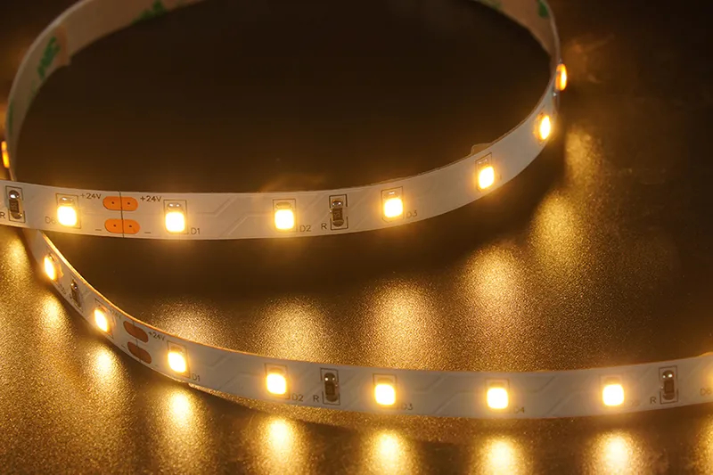 2835 60leds/m 24V 8MM