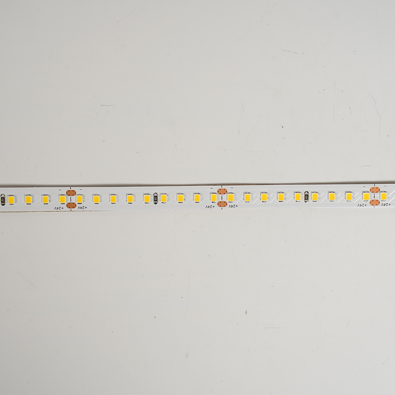 2835 144leds/m 24V 10MM
