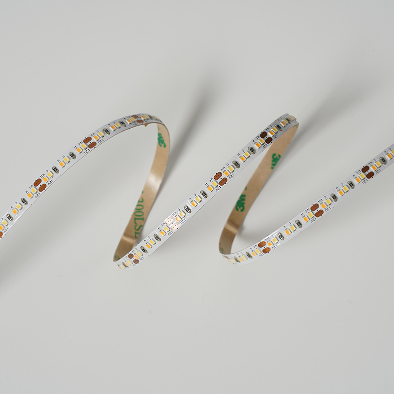 2216 240leds/m CCT 12V 6MM