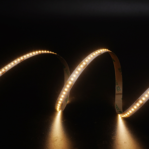 2216 240leds/m 24V 8MM