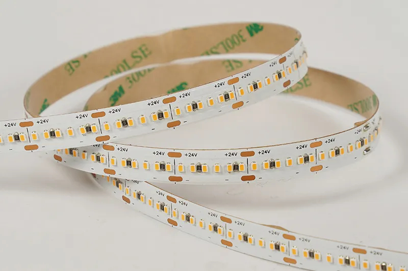 2216 300leds/m 24V 10MM