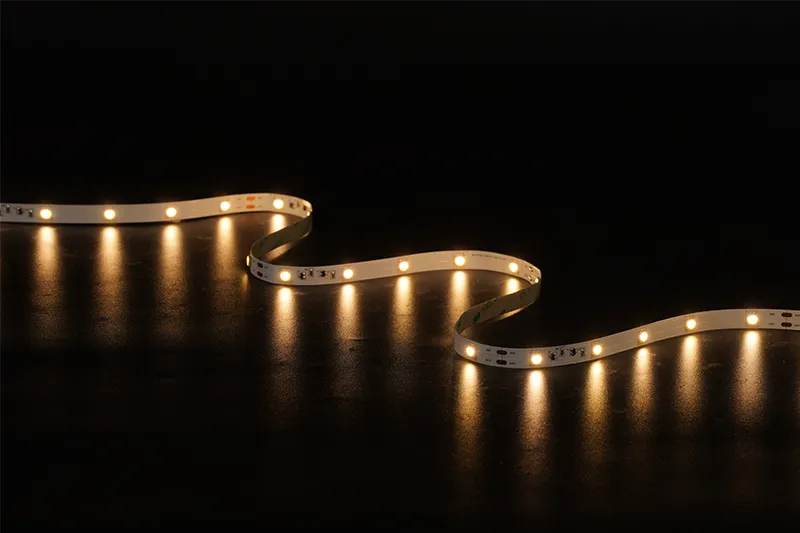 5050 30leds/m 24V 10MM Constant Current