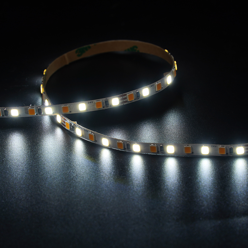 2835 144leds/m CCT 24V 5MM