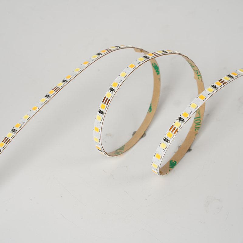 2835 156leds/m CCT 12V 5MM
