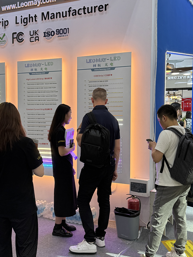 2025 Guangzhou International Lighting Exhibition (12)