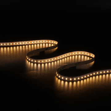 LM2216-WN264-CCT-8MM-24V
