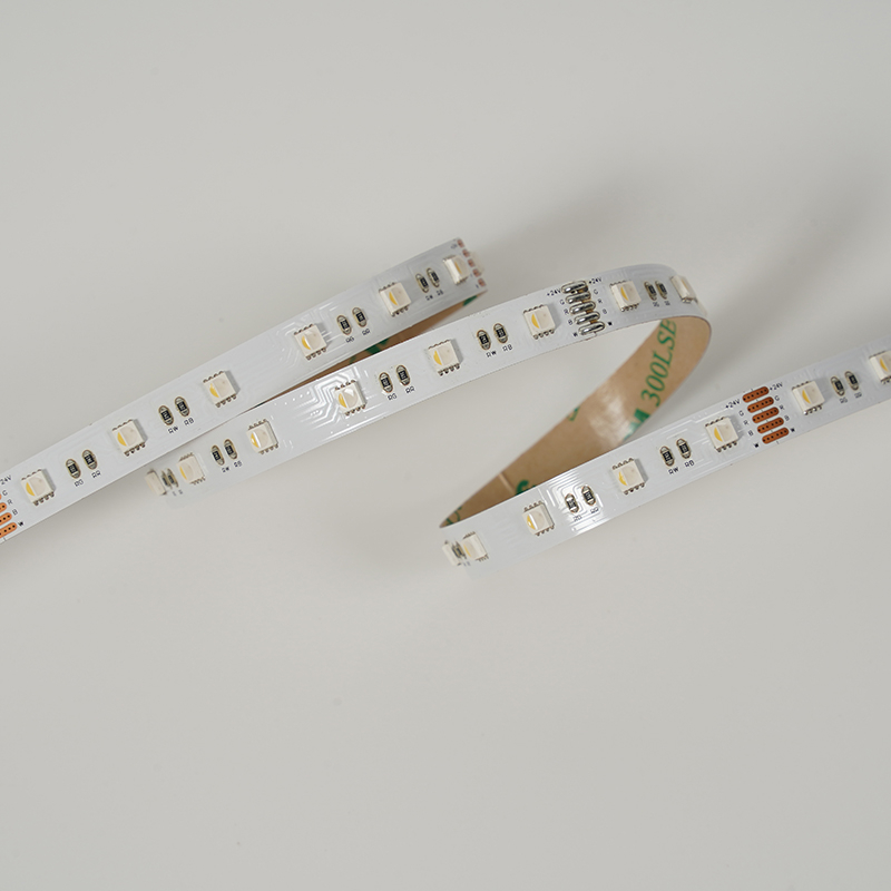 LM4040-4WN60-RGBW-24V-10MM