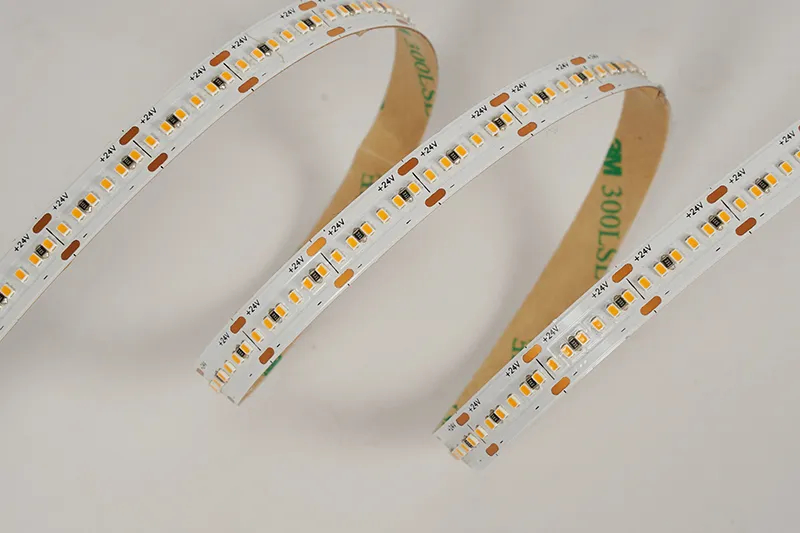 2216 300leds/m 24V 10MM