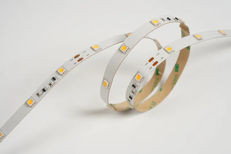 5050 30leds/m 24V 10MM Constant Current