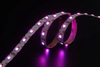 5050 48leds/m 4in1 RGBW 24V 12MM（S shape)