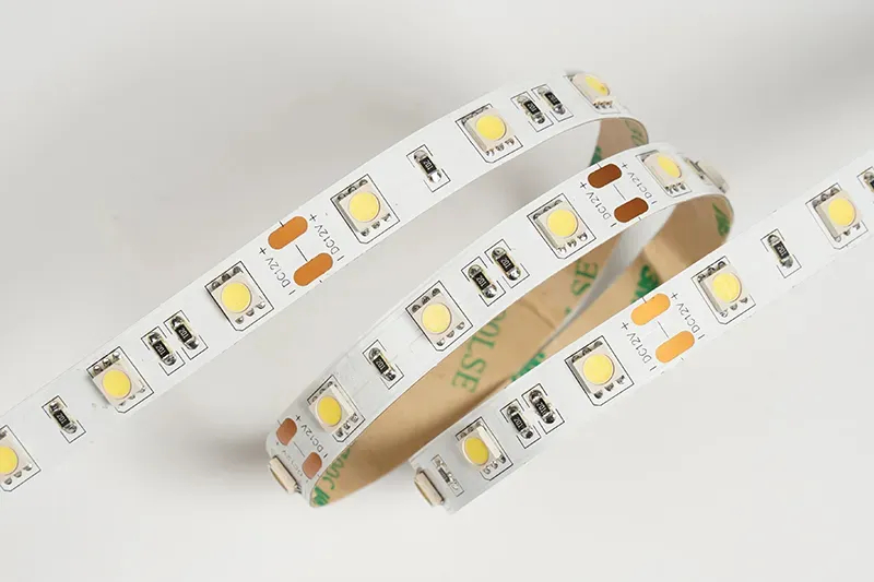 5050 48leds/m 12V 10MM