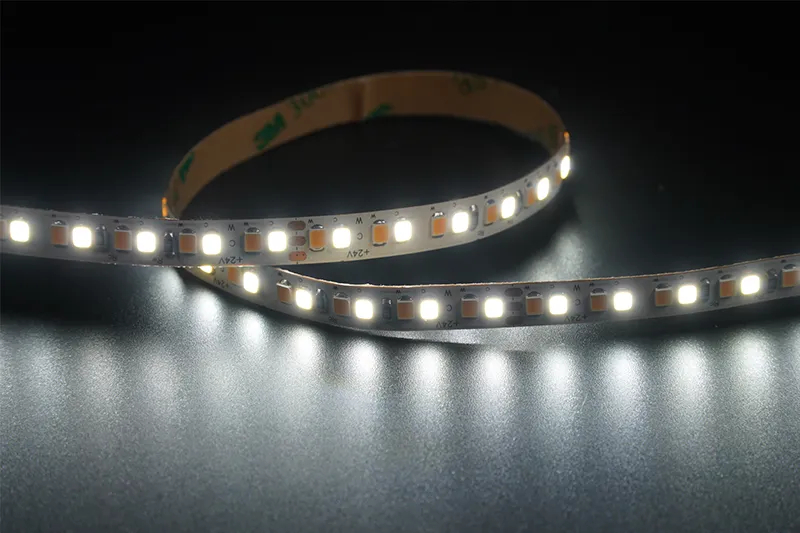 2835 192leds/m CCT 24V 8MM