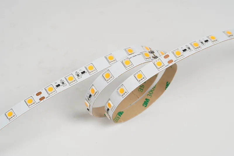 5050 60leds/m 24V 10MM Constant Current