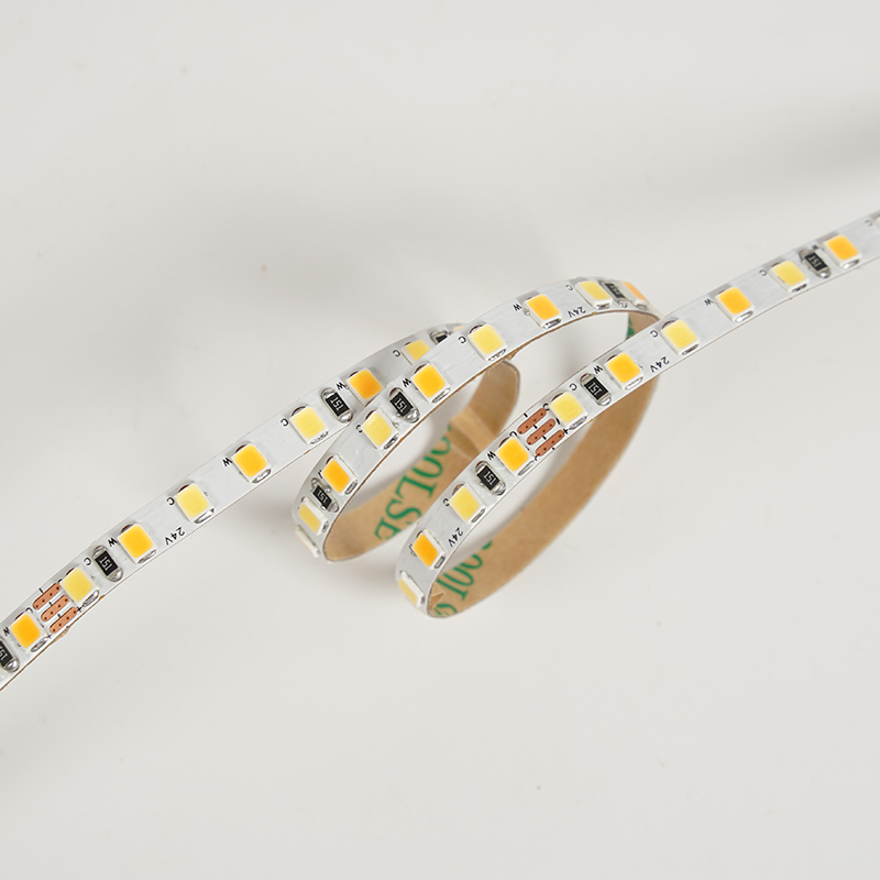 2835 144leds/m CCT 24V 5MM