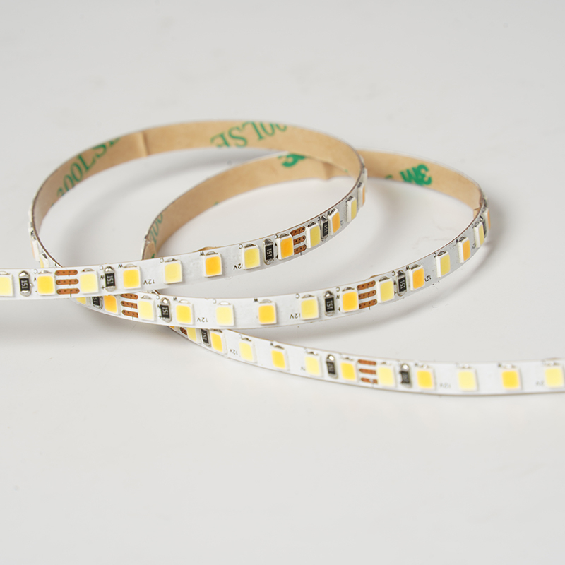 2835 156leds/m CCT 12V 5MM