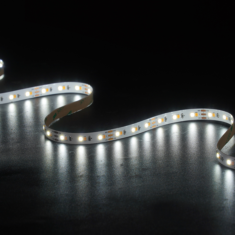 2835 120leds/m CCT 12V 10MM