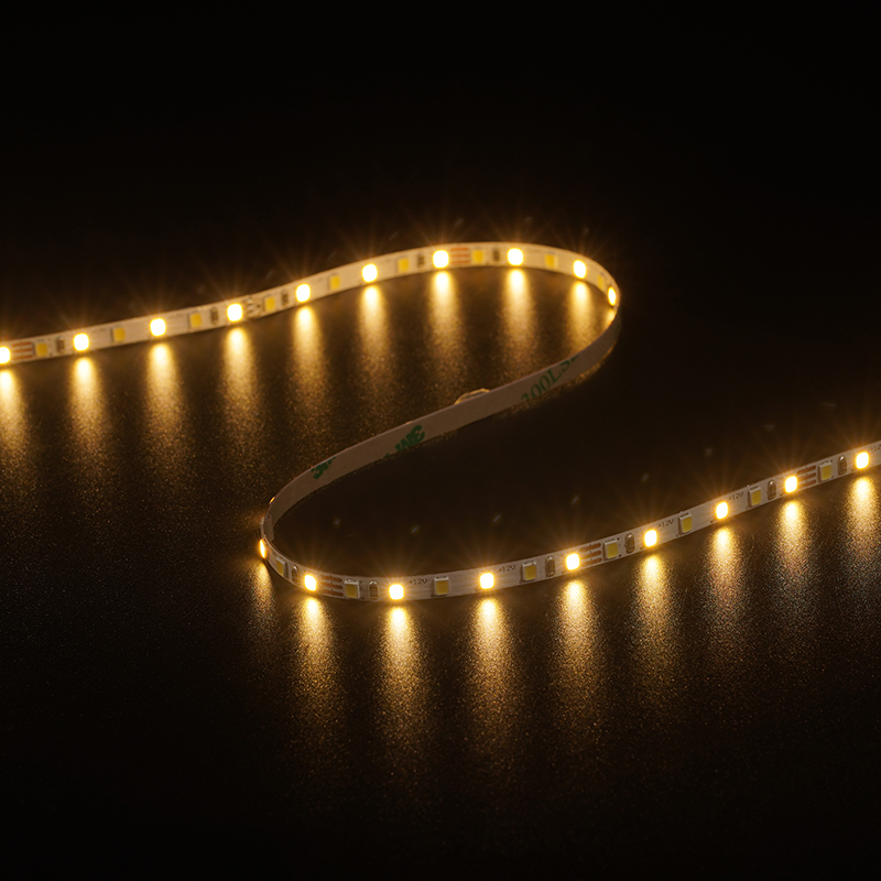 2835 120leds/m CCT 12V 5MM