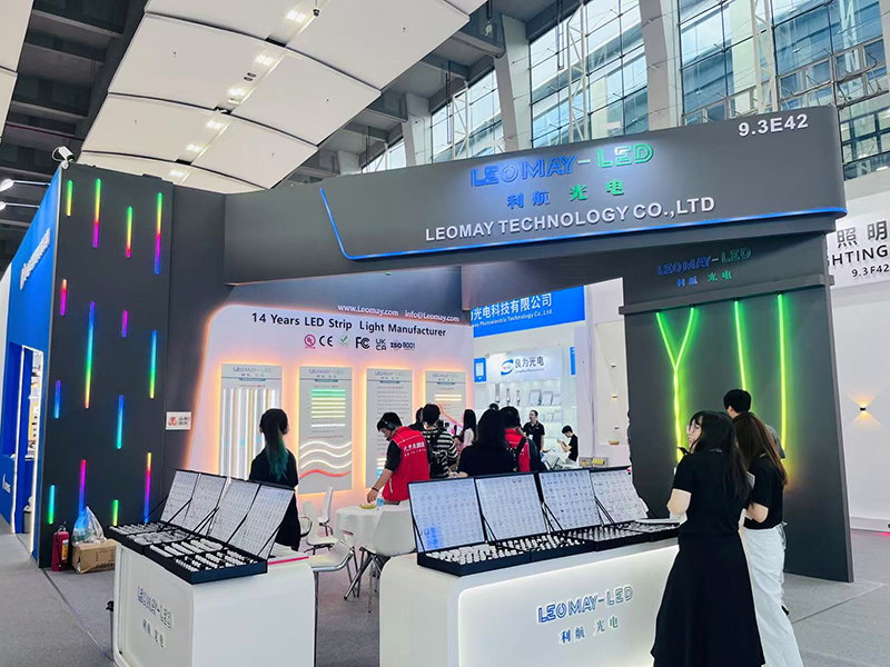 2025 Guangzhou International Lighting Exhibition (5)