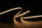 2110 120leds/m 24V 8MM